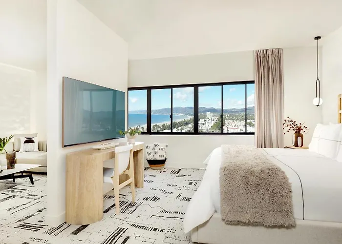 Deluxe King Suite